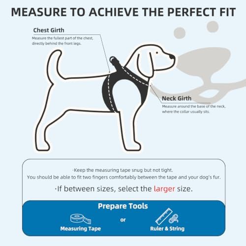 PUPTECK Dog Harness, Collar and Leash Set No Pull - Image 2