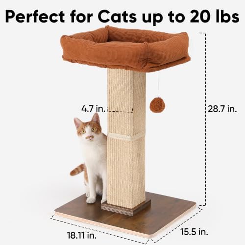 FUKUMARU Retro-Style Cat Scratching Post - Image 6