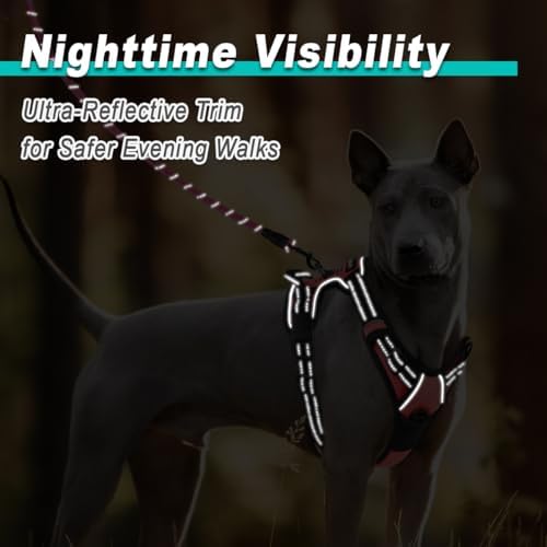 BARKBAY Dog Harness for Small Sized Dog No Pull 2 Leash Clips Dog Vest - Image 5