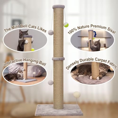 36'' Tall Cat Scratching Post for Indoor Cats - Image 5