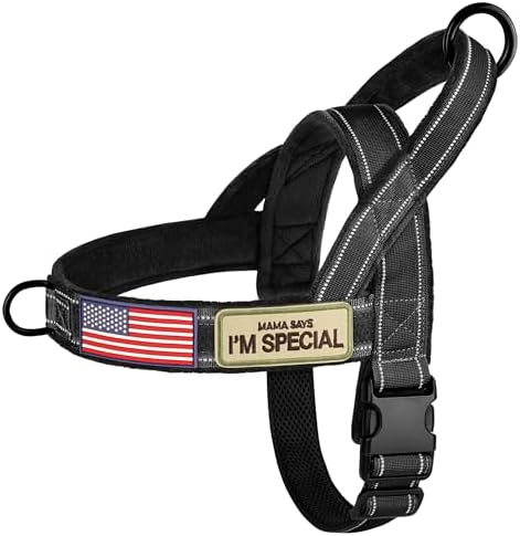 Forestpaw No Pull Dog Harness by Forestpaw
