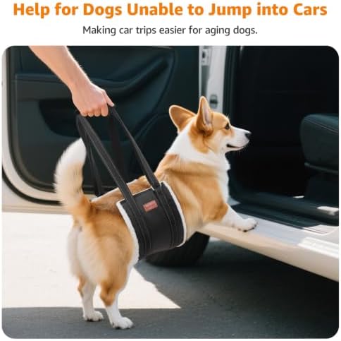 LOOBANI Adjustable Dog Sling for Medium Dogs Hind Leg Support ACL Recovery - Image 3