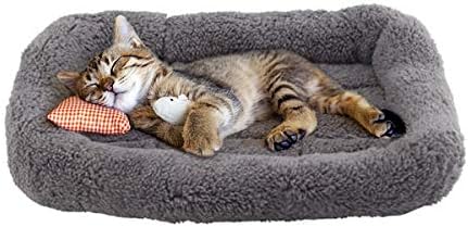 Enjoying Cat Mat Bed 10" x 15" Pet Bed - Image 4