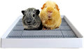 PODOO Rabbit Litter Box – Training Potty Tray by PODOO