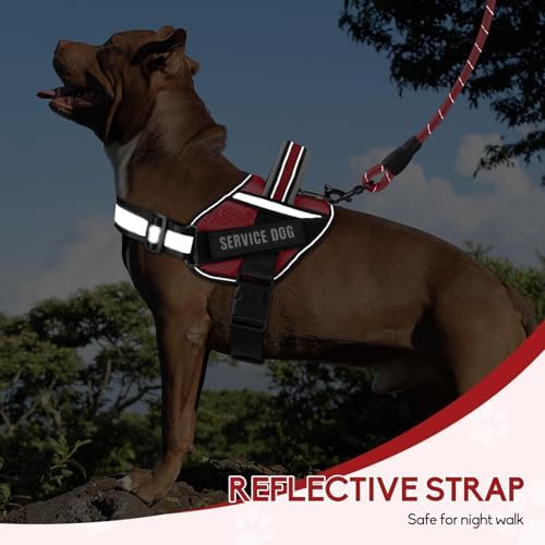 Service Dog Vest Harness and Leash Set, Animire in Training Dog Harness - Image 3