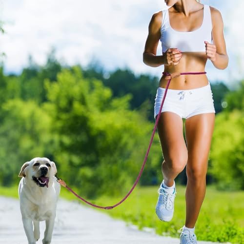 Mile High Life Hands Free Dog Leash, Crossbody Waist Leash - Image 6