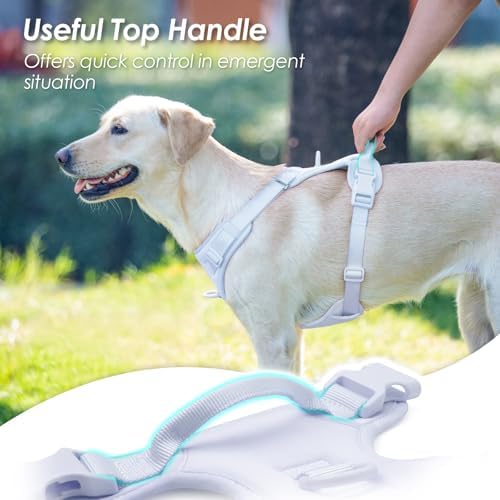 Sunraymascota No Pull Dog Harness - Image 4