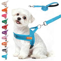 BEAUTYZOO Small Dog Harness and Leash Set, No Pull Step in Puppy Vest by BEAUTYZOO