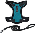 Voyager Step-in Lock Cat Harness & Leash Set by BestPetSuppliesLLC