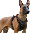 rabbitgoo Dog Harness for Large, Updated Easy On & Off by rabbitgoo