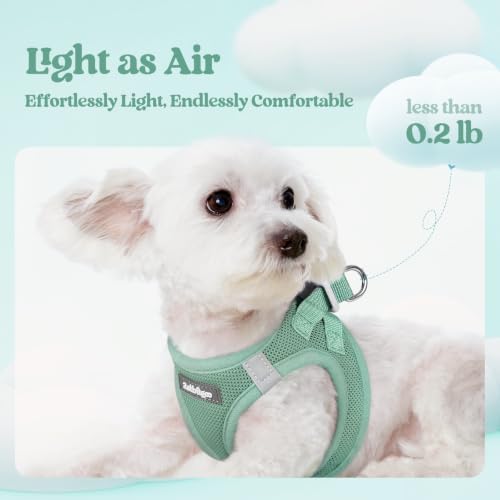 rabbitgoo Dog Harness Small Sized and Leash Set, Step-in Puppy Pet Vest - Image 3
