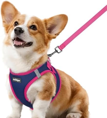 rabbitgoo Dog Harness Small Sized and Leash Set, Step in Soft Vest by rabbitgoo