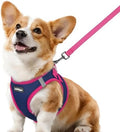 rabbitgoo Dog Harness Small Sized and Leash Set, Step in Soft Vest by rabbitgoo