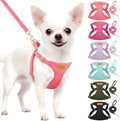SlowTon No Pull Dog Harness by SlowTon