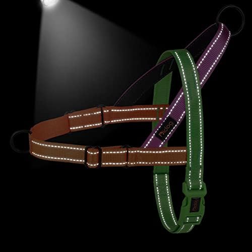 Didog No Pull Dog Harness for Medium Dogs, Soft Padded Handle - Image 4