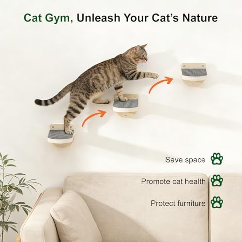 TIMHAKA 3 Pcs Cat Wall Shelves, Cat Wall Steps - Image 3