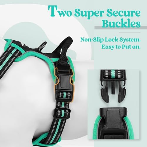 rabbitgoo Dog Harness, No Pull for Large Dogs - Image 3