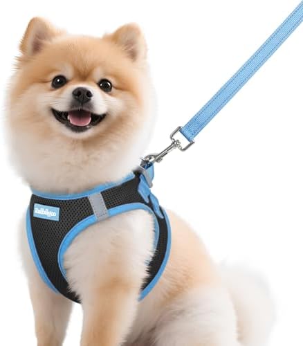 rabbitgoo Dog Harness Small Sized and Leash Set, Step in Soft Vest by rabbitgoo