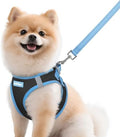 rabbitgoo Dog Harness Small Sized and Leash Set, Step in Soft Vest by rabbitgoo