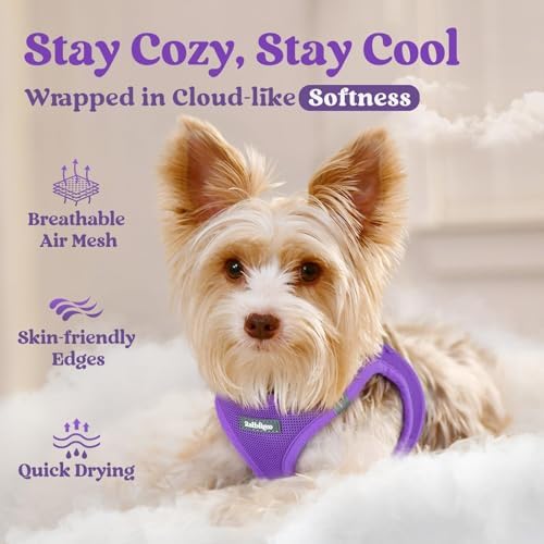 rabbitgoo Step-in Small Dog Harness, Puppy Vest - Image 3