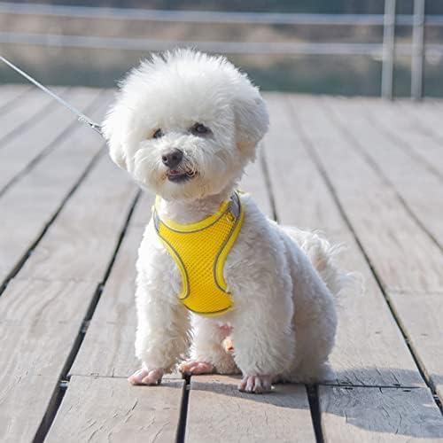 XXS Dog Harness and Leash Set, Puppy Harness Girl Cats Vest - Image 5