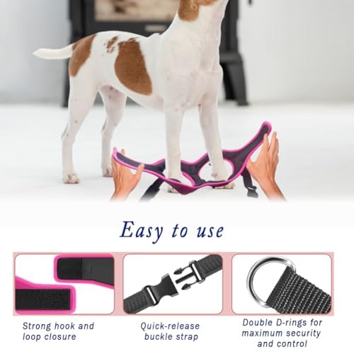 Comfort Fit Dog Harness Soft Padded No Pull Harness - Image 5