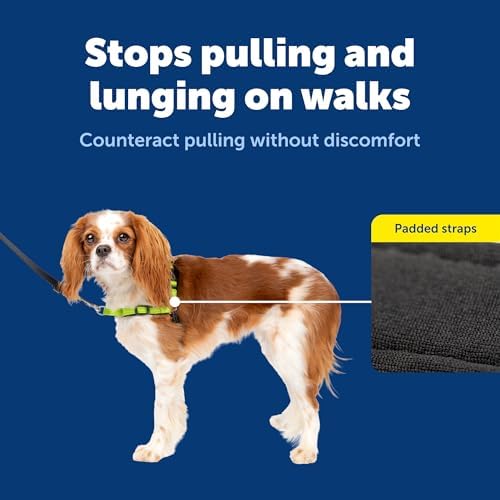 PetSafe Deluxe Easy Walk No Pull Dog Harness, Apple Green - Image 4