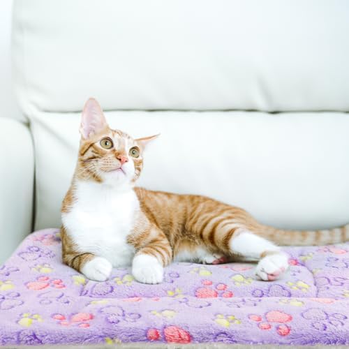 2 Pack Cat Blanket for Indoor Cat, Warm Calming Kitten Beds - Image 5