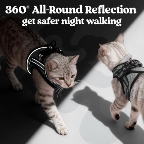 rabbitgoo Cat Harness and Leash Set, Step-in Soft Vest - Image 5