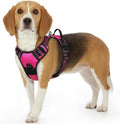 Eagloo Dog Harness for Small Dogs, No Pull Pet Vest by GoExplorewithEagloo