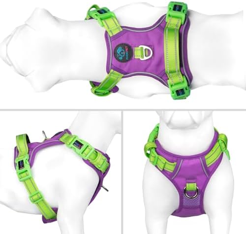 PHOEPET No Pull Dog Harness, Unique Colors Reflective Adjustable Dog Vest - Image 2