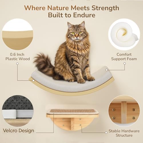 Cat Window Perches, Cat Wall Shelves - Image 2