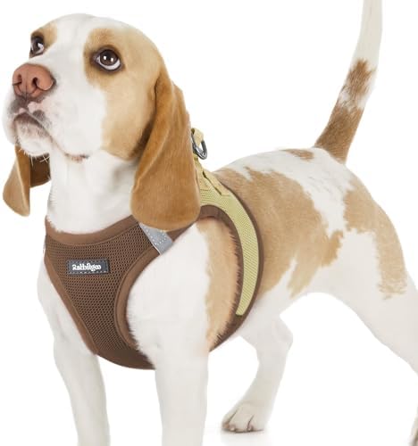 rabbitgoo Step-in Small Dog Harness, Puppy Vest by rabbitgoo