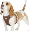 rabbitgoo Step-in Small Dog Harness, Puppy Vest by rabbitgoo