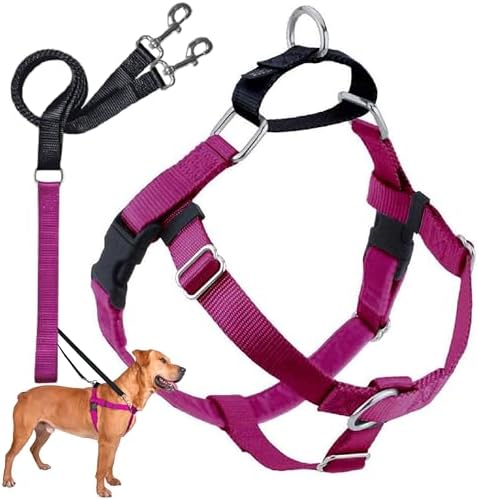 2 Hounds Design Freedom No Pull Dog Harness and Leash by 2HoundsDesign