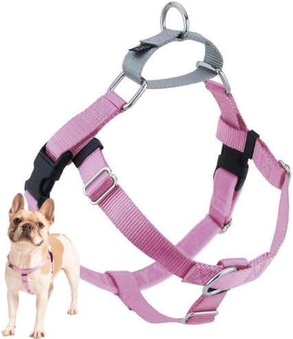 2 Hounds Design Freedom No Pull Dog Harness, 1 inch LG by 2HoundsDesign