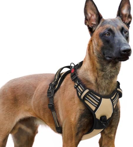 rabbitgoo Dog Harness for Large, Updated Easy On & Off by rabbitgoo