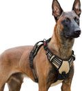 rabbitgoo Dog Harness for Large, Updated Easy On & Off by rabbitgoo