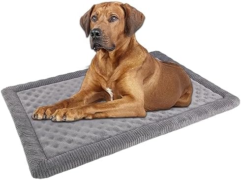 48x30 Inch Dog Crate Bed Memory Foam Large Kennel Pads by PAGGEDHOME
