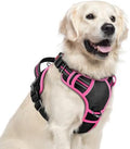 rabbitgoo Dog Harness for Large, No Pull 3 Buckles Easy On & Off by rabbitgoo
