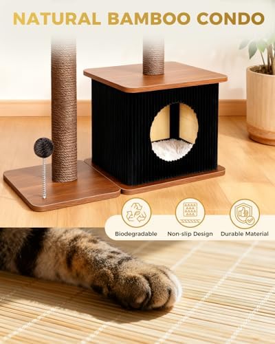 Small Cat Tree for Indoor Kittens - Image 2