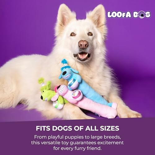 Multipet Loofa Dog Plush Toy - Image 7