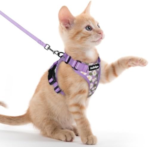 rabbitgoo Cat Harness and Leash Set, Escape Proof Vest, Purr-ple Daisy by rabbitgoo