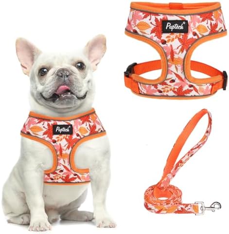 PUPTECK Fall Dog Harness and Leash Set No Pull Small Sized Dogs Puppy by PUPTECK