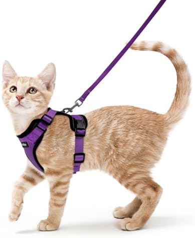 rabbitgoo Cat Harness and Leash Set, Escape Proof Vest by rabbitgoo