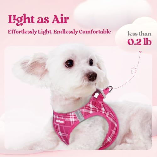 rabbitgoo Dog Harness Medium Sized and Leash Set, Step-in Puppy Pet Vest - Image 3