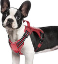 rabbitgoo Tactical Dog Harness for Small Dogs, No Pull Service Pet Vest by rabbitgoo