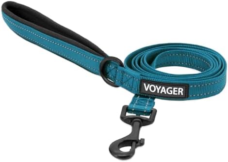 Best Pet Supplies Voyager Nylon Dog Leash - 6ft Turqioise by BestPetSuppliesLLC