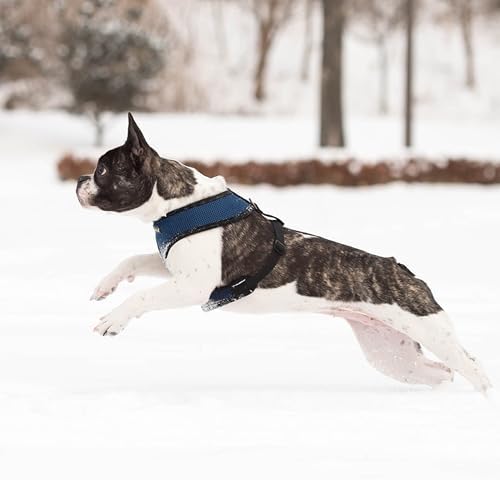 Puppia Soft Dog Harness No Choke Over-The-Head Triple Layered Breathable Mesh - Image 3