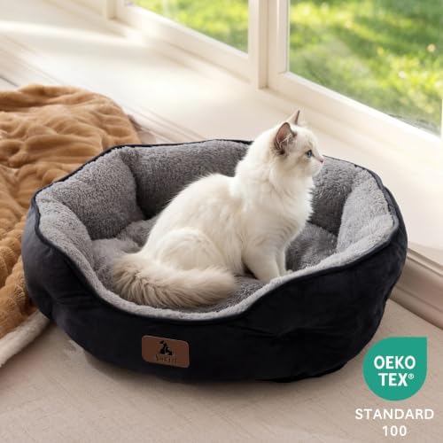 Asvin Small Dog Bed for Small Dogs, Cat Beds for Indoor Cats, Pet Bed for Puppy - Image 4